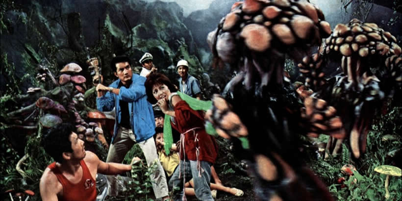 Mushroom people attack!