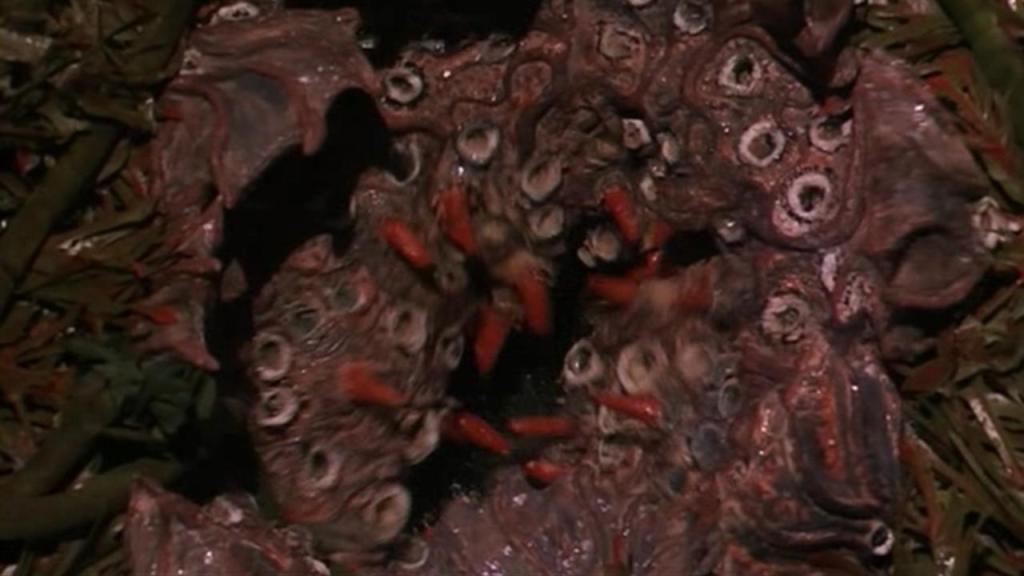 The plant-thing in the Spanish galleon