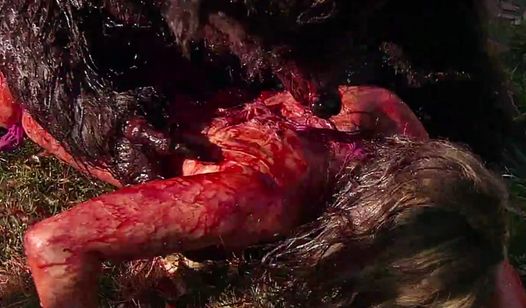 The dire wolf attacks