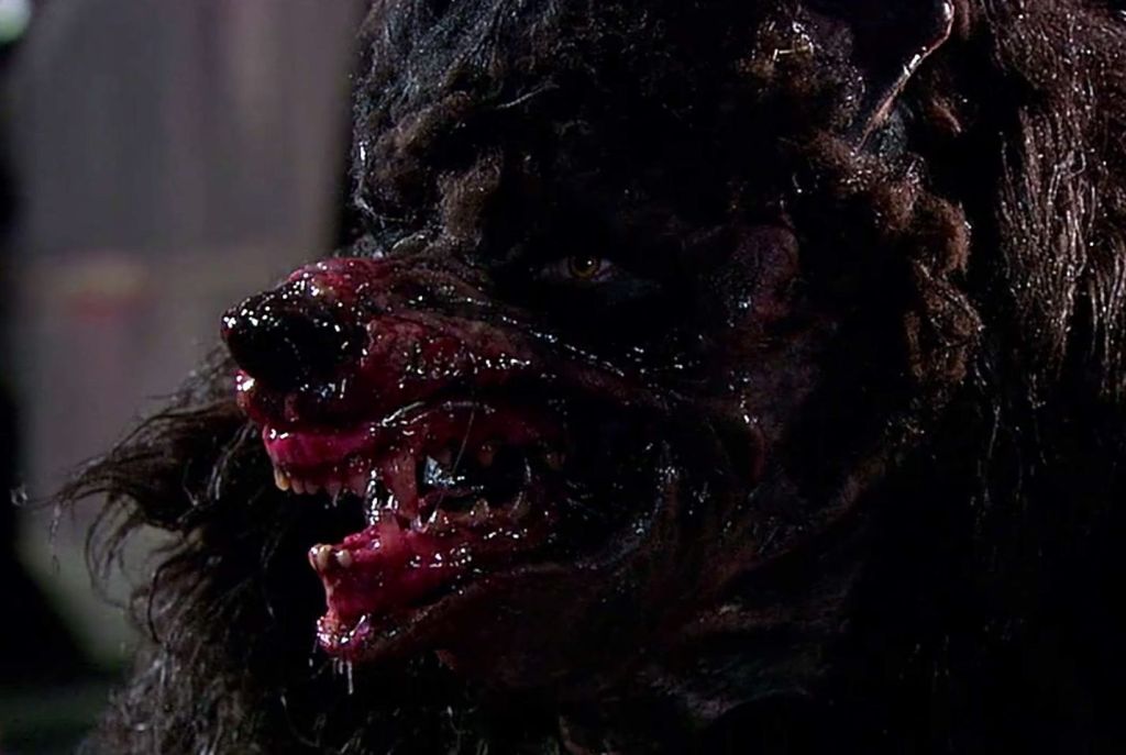 The dire wolf likes to snarl!