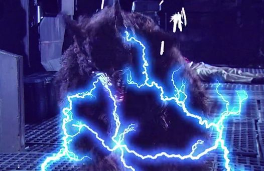 The critter gets zapped!