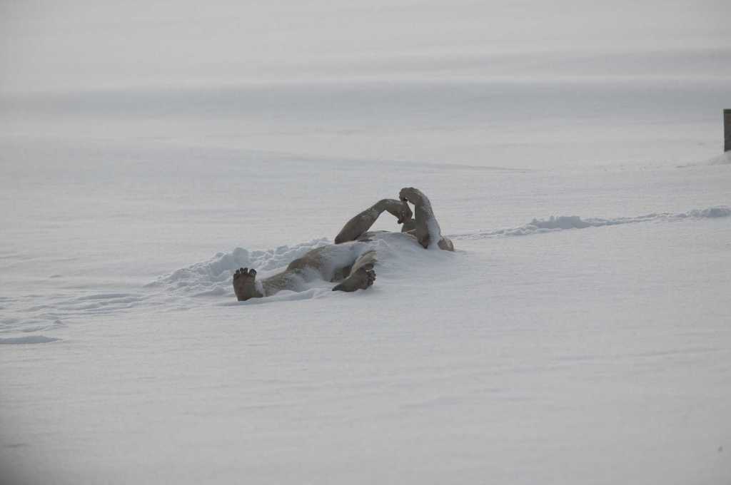 A naked body in the snow