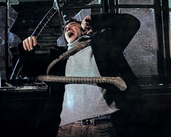 An islander falls victim to the silicate