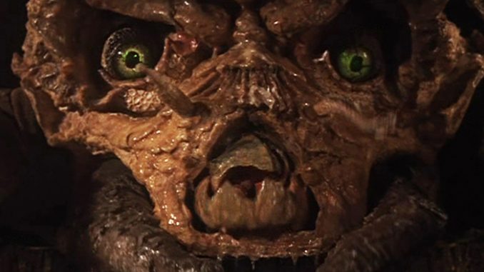 Close-up of the hermit crab's face