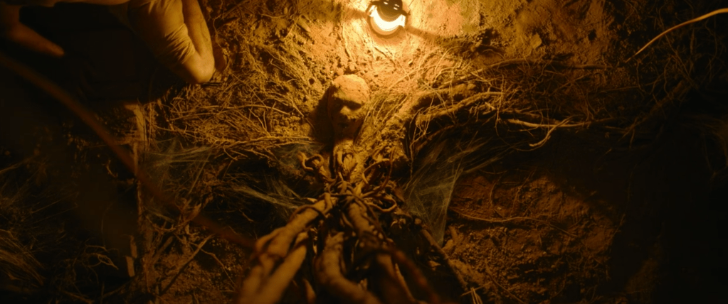 The still-alive grandmother with a tree growing through her!