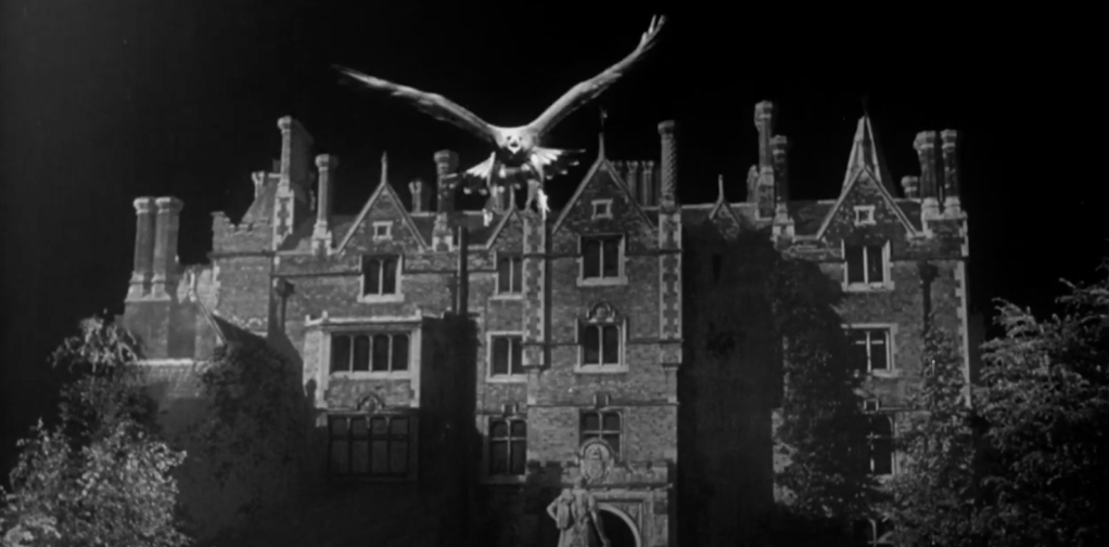 The great eagle takes flight