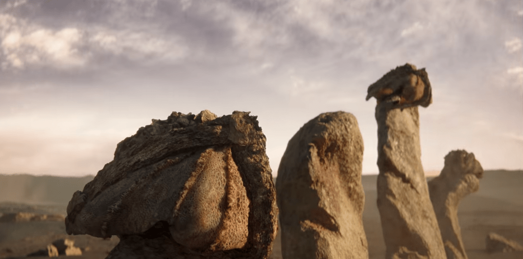 The creatures hide from the sun