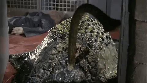 A silicate approaches