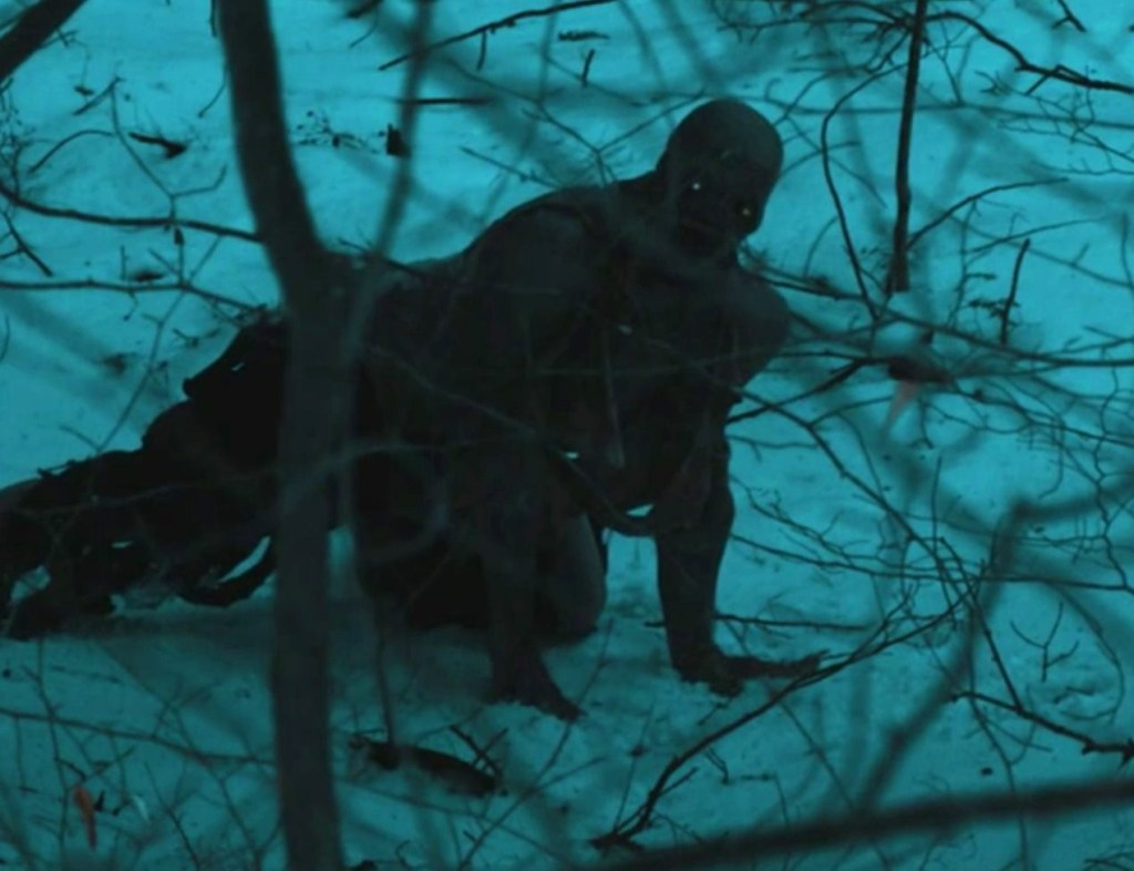 Crawling about the mountain forest...