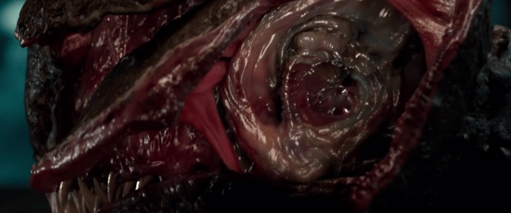 One of the creature's ears seen in close-up