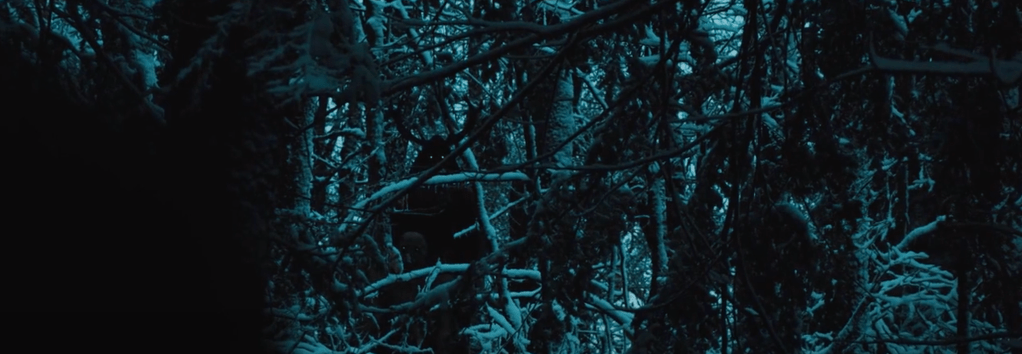 If you look closely you can see the Wendigo and one of the minion-creatures lurking amongst the trees...