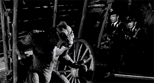 Don't prod the Venusian creature!