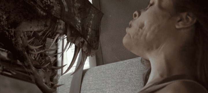 Alien critter alert!