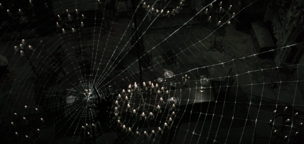 View from a spider's web