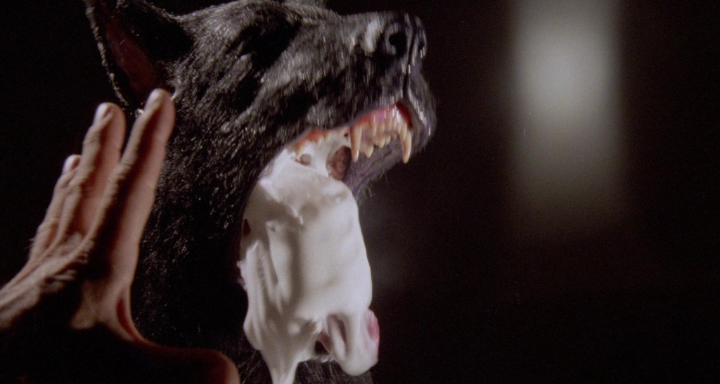 A dog barfs-up The Stuff