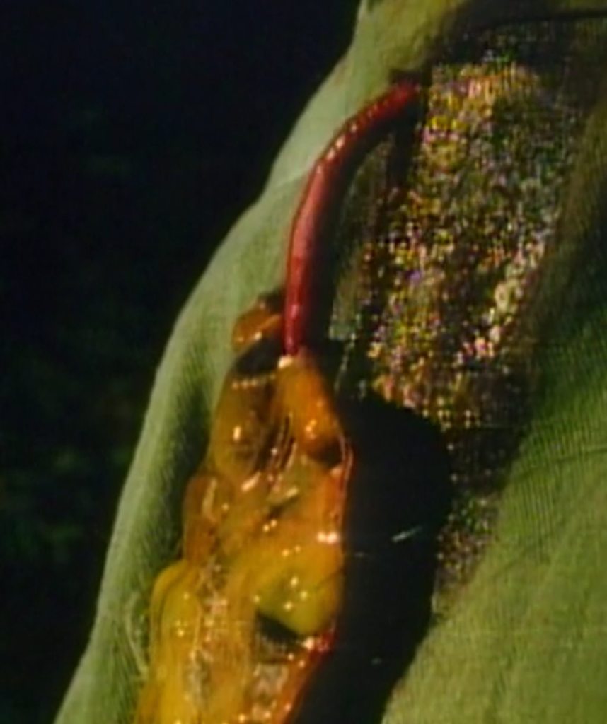 Tendrils dig through clothing