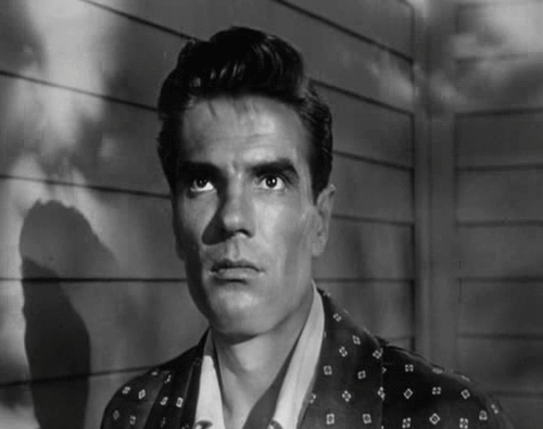 Lightning flashes give them away!