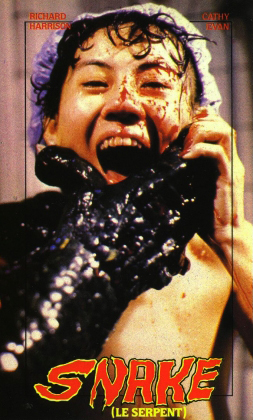 French VHS cover for Scorpion Thunderbolt