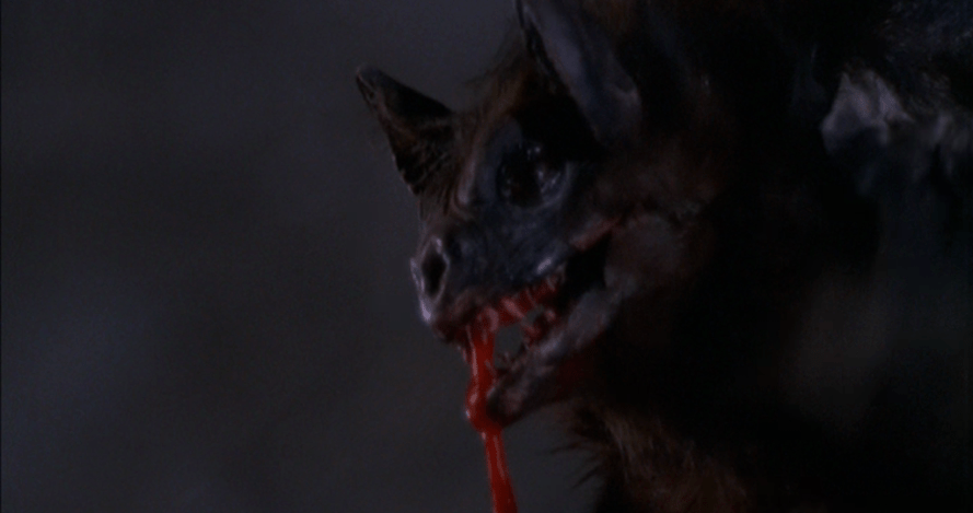 Blood-drooling bat!