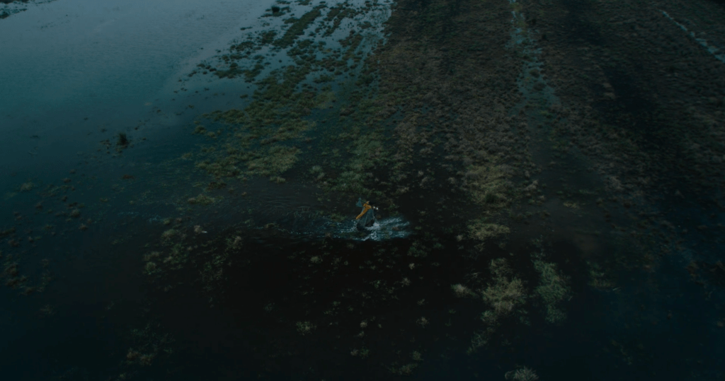 A nice shot of Gawain wading through swampland