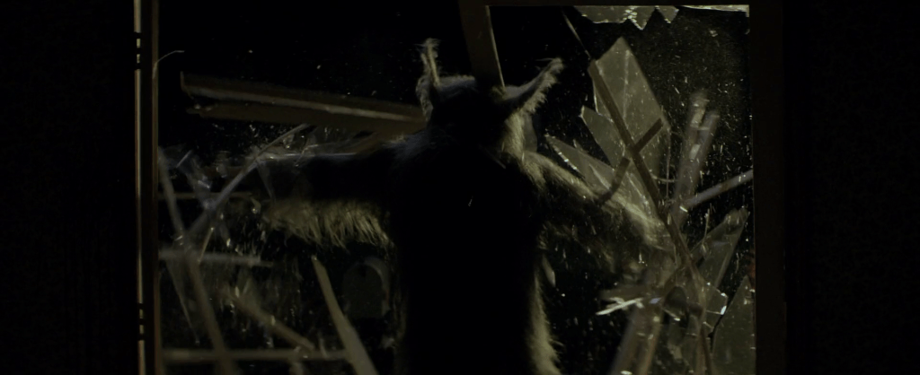 Crashing through the window