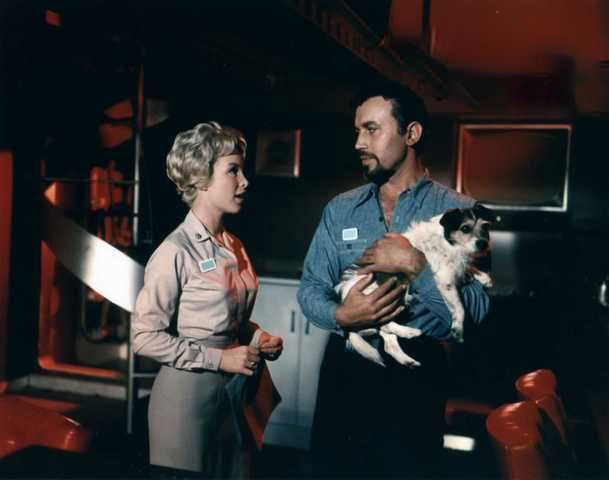 Barbara Eden and Michael Ansara were a couple in real life