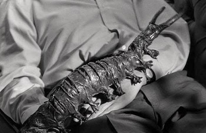 The tingler is rubbery, repulsive and sometimes somewhat phallic