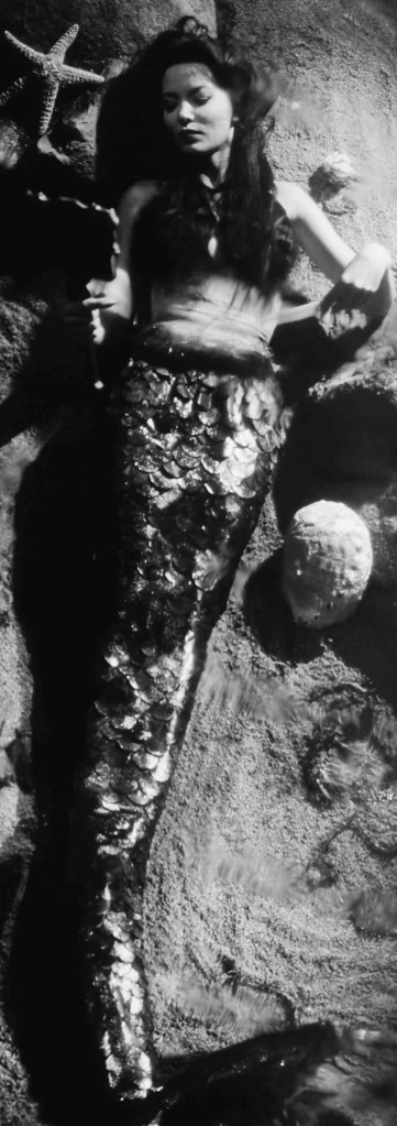 Mora earns a living as a sideshow mermaid... but is she a real siren?