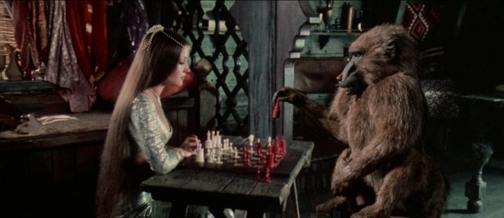 Prince Kassim has become a baboon, but he can still play chess!