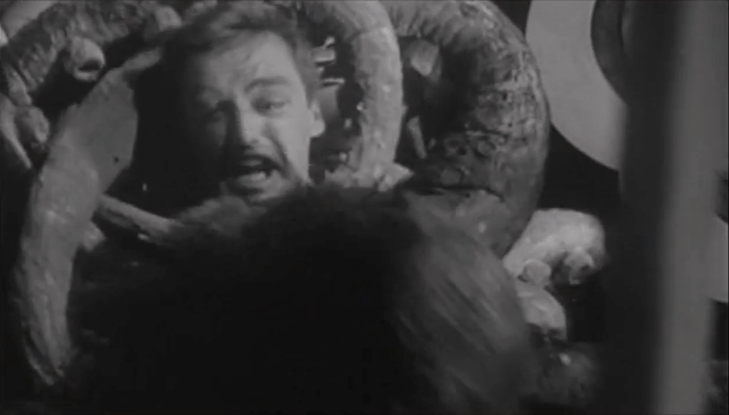 Another shot from the Dennis-Hopper-and-octopus nightmare scene: why not?! It's fun!