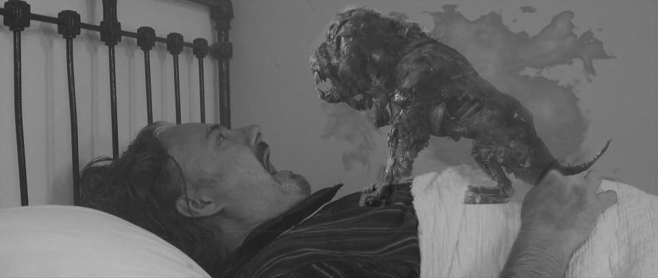 The Prof wakes up to find THIS on his chest!