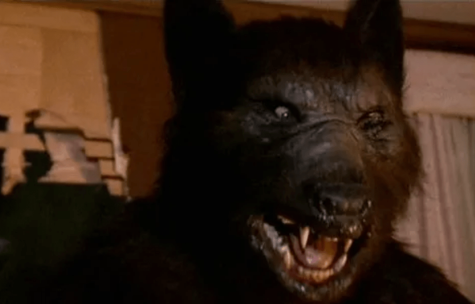 It's the big, bad wolf!