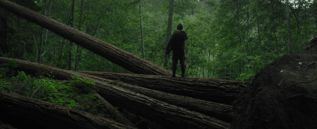 Adam stands on a tree trunk