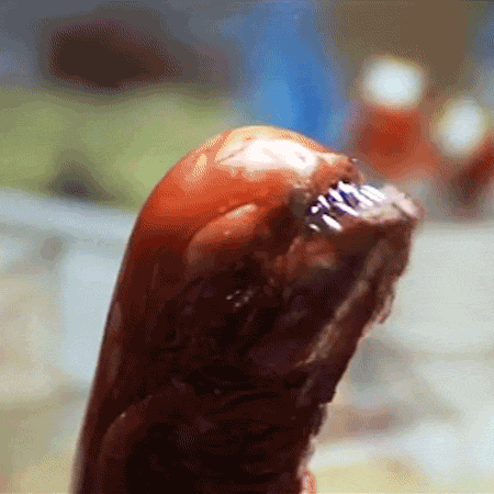 The bloody chestburster!