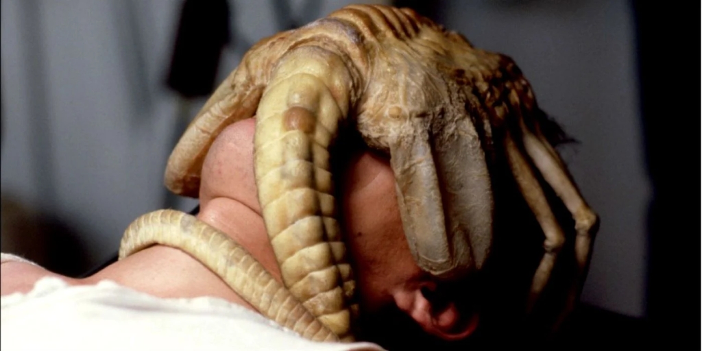 The amazing facehugger
