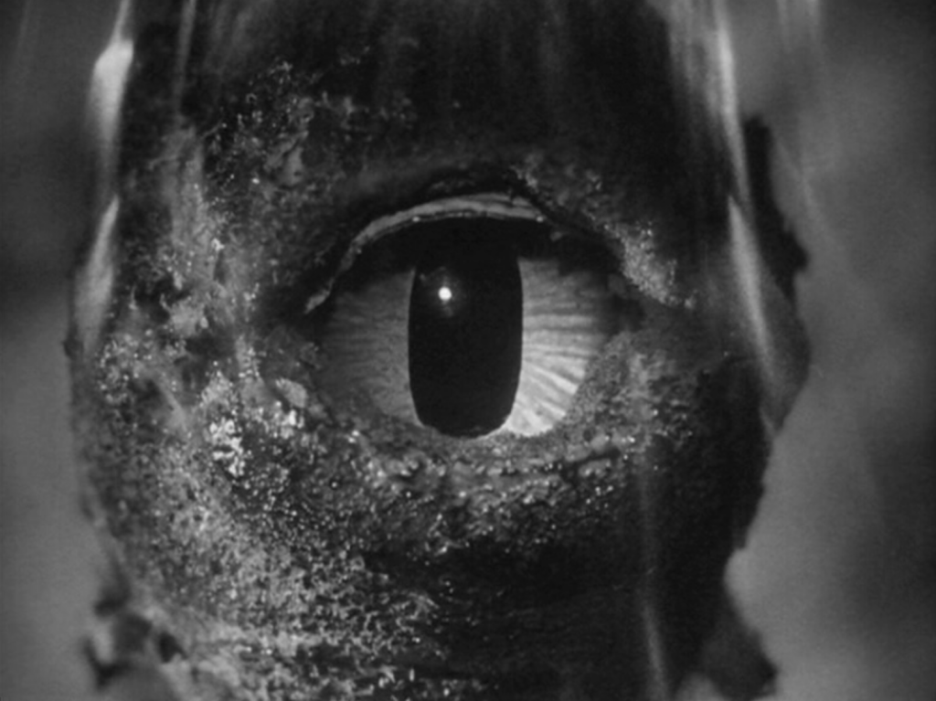 I love the look of this one-eyed extraterrestrial!