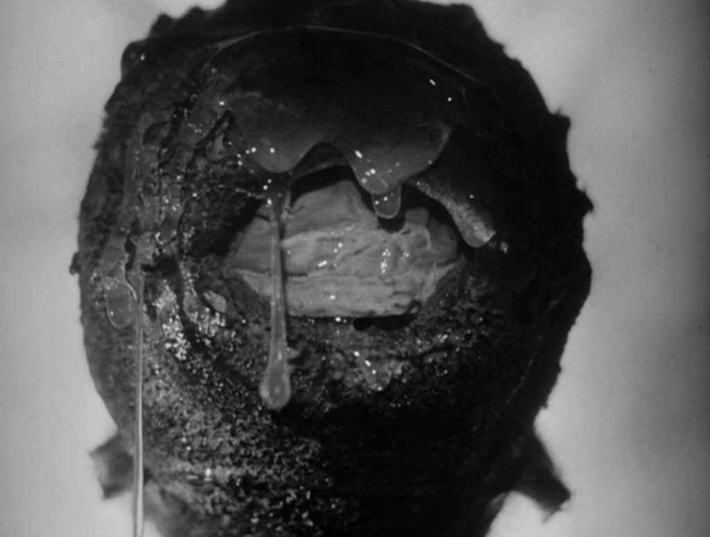 At one point the alien gets shot in the eye: cue lots of goo!