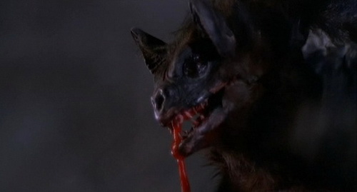Close-up of a blood-dribbling bat!
