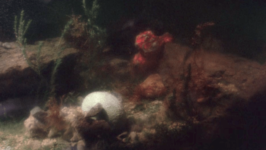 The meteorite sinks to the bottom of the lake... right next to the plesiosaur egg!