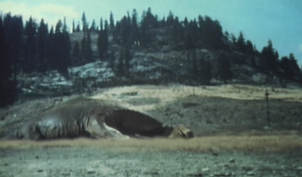 The plesiosaur succumbs to its wounds