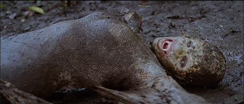 A transformation in the mud