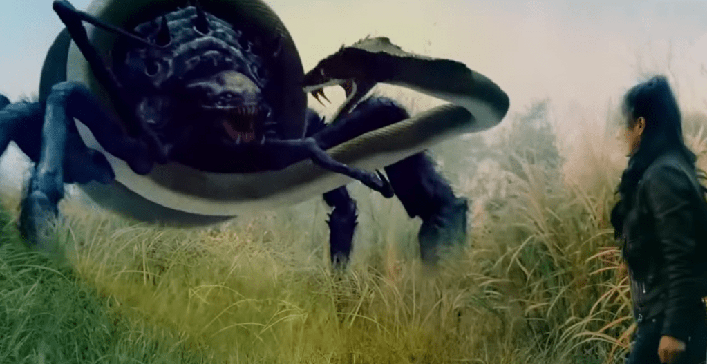 Snake versus spider!