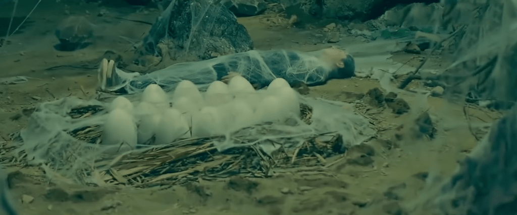 A webbed-up captive and a bunch of giant spider eggs