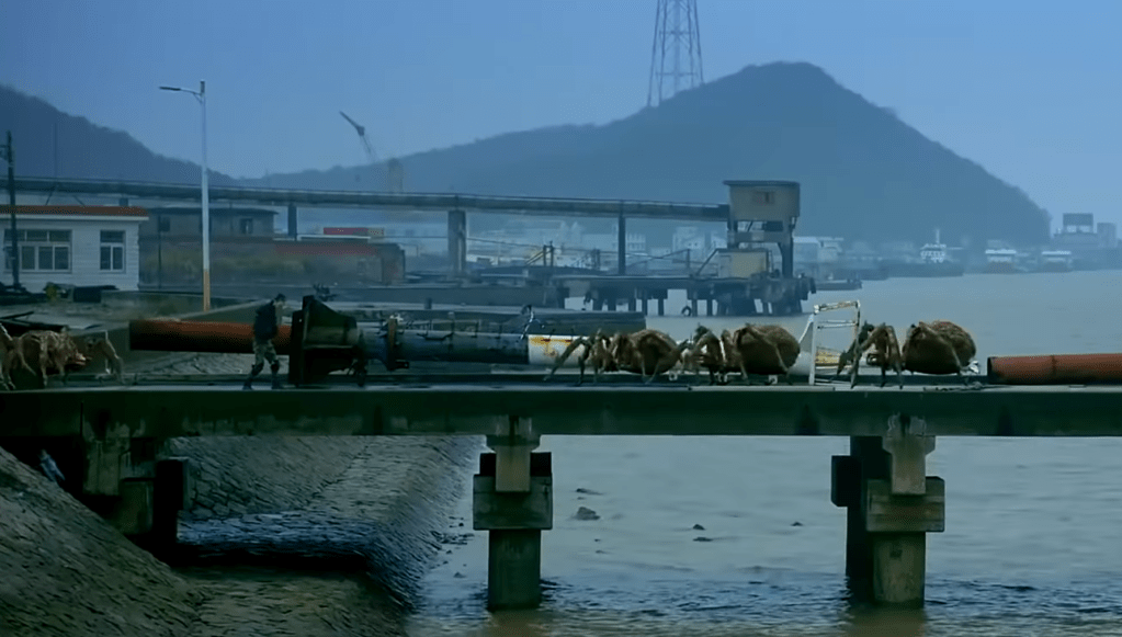 An okay-looking long shot