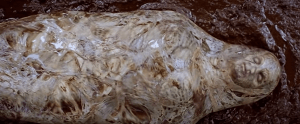 From out of the cocoon...