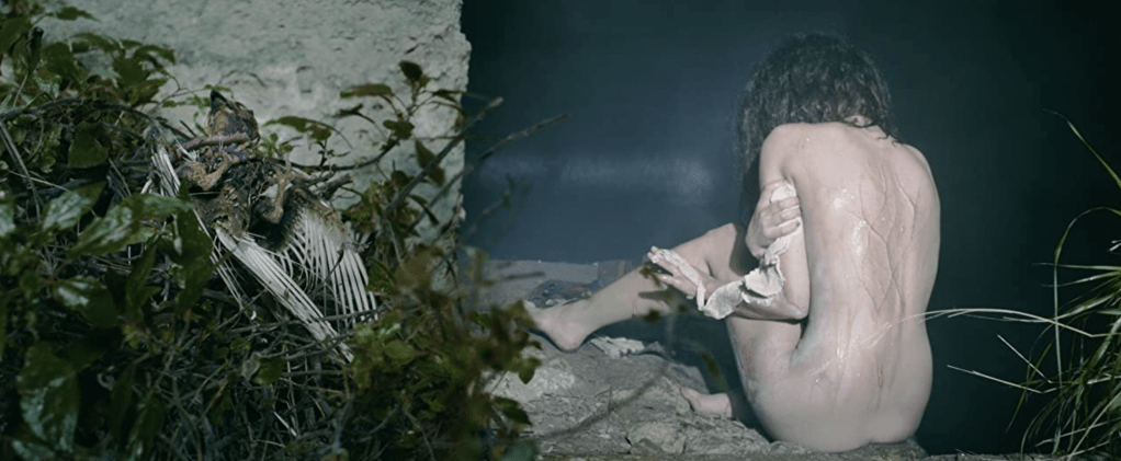 Sometimes she eats birds or cats