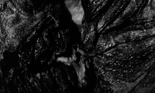 The flesh is eaten from the skull!