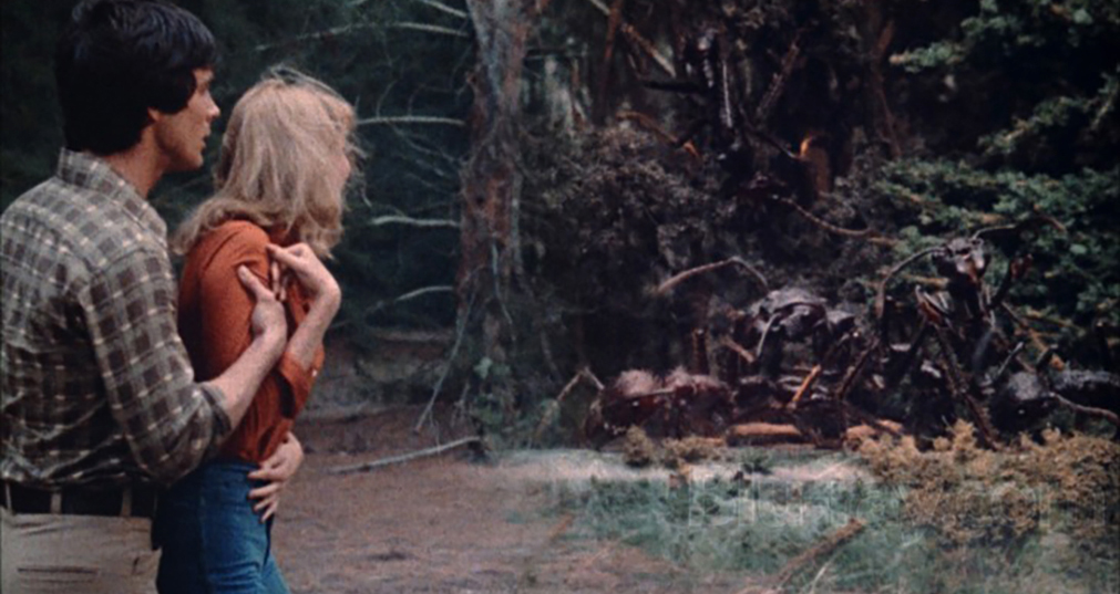 John David Carson, Pamela Susan Shoop and some ants