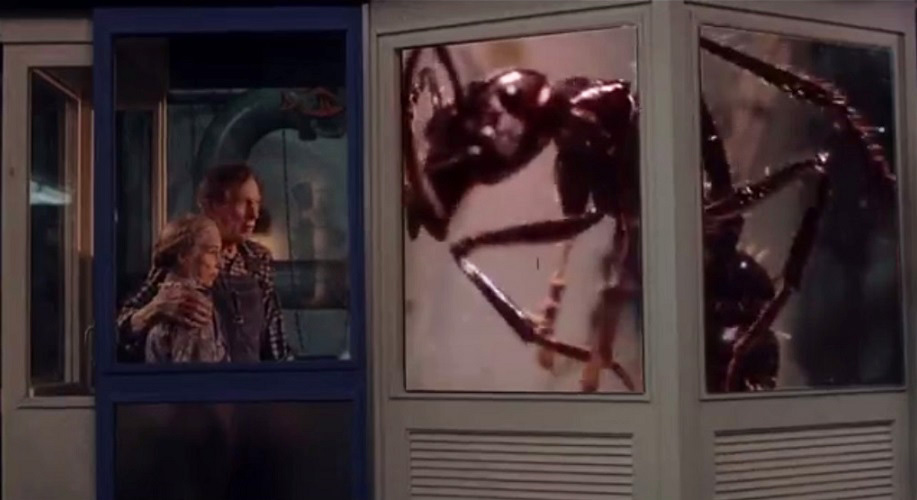 The queen ant prepares to spray a husband and wife with a cloud of pheromones to keep them under her control