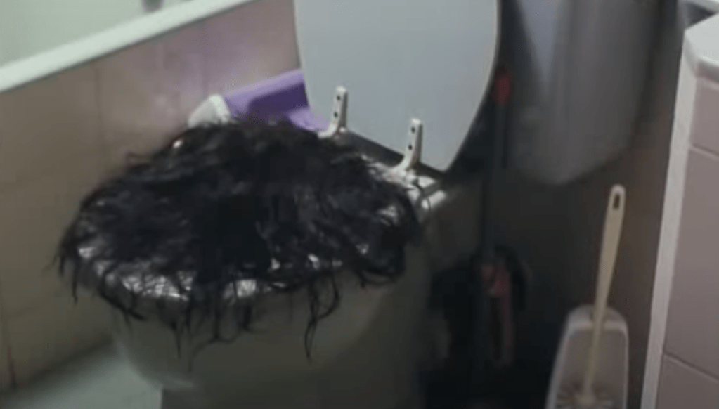 I think some hair is blocking the toilet...